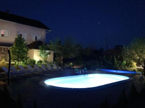 One bedroom appartement with shared pool enclosed garden and wifi at Rakovica